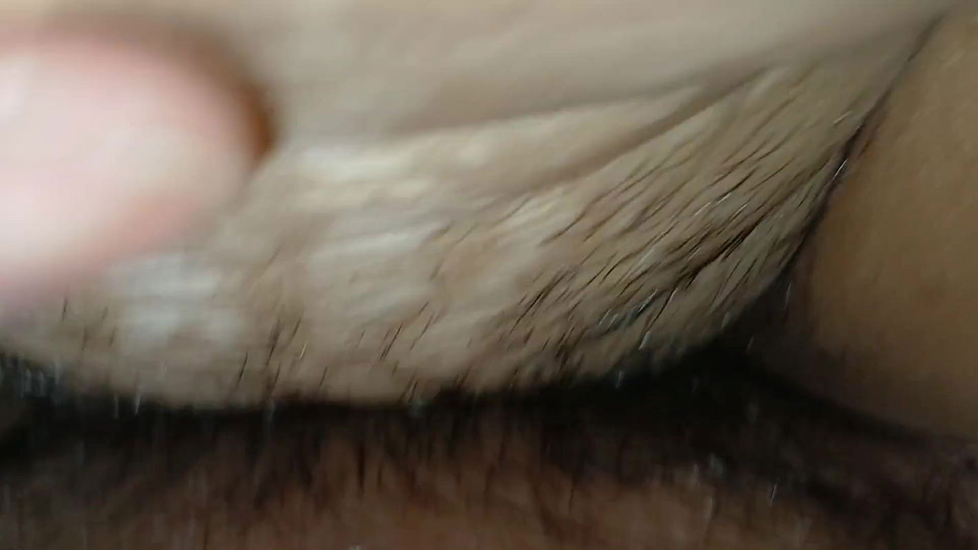 In the forest on a wet night, part 2