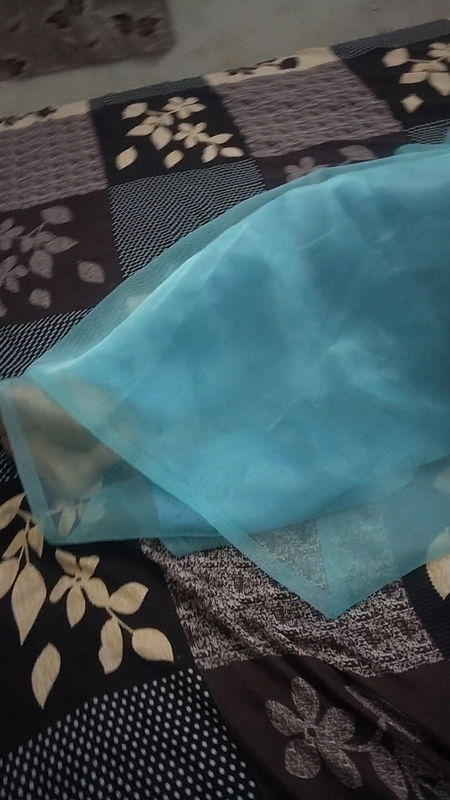 Kerala aunty on bed with transparent saree touching servant