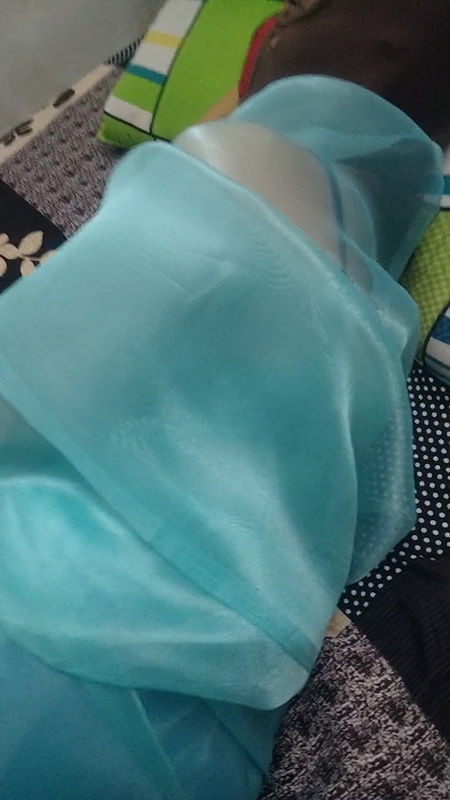 Kerala aunty on bed with transparent saree touching servant