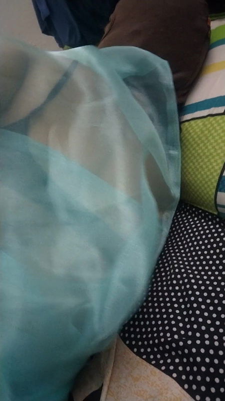 Kerala aunty on bed with transparent saree touching servant