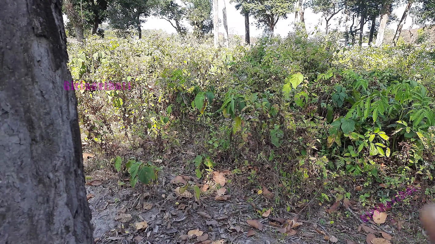 Jungle me Mangle – Hindi Outdoor Sex Fantasy