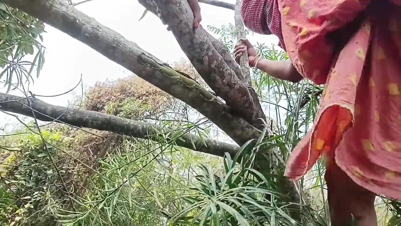 Desi Namita I can’t believe what I’m seeing! Pissing in a forest and more