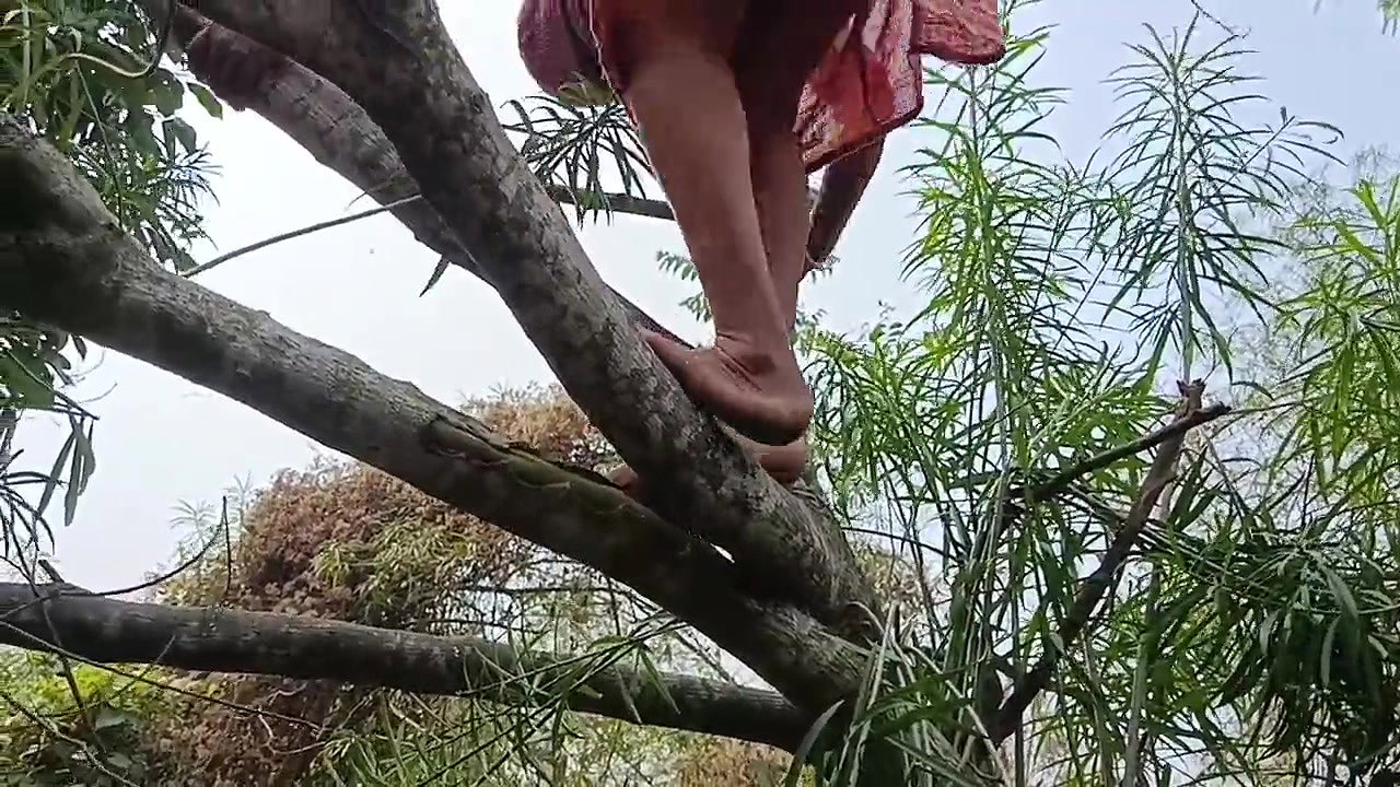Desi Namita I can’t believe what I’m seeing! Pissing in a forest and more