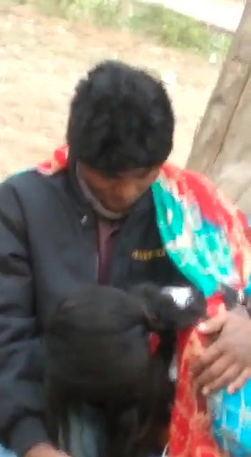 Desi Village Outdoor BJ