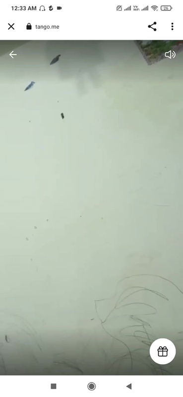 Sexy Desi Indian Bhabhi Teasing With Her Voice