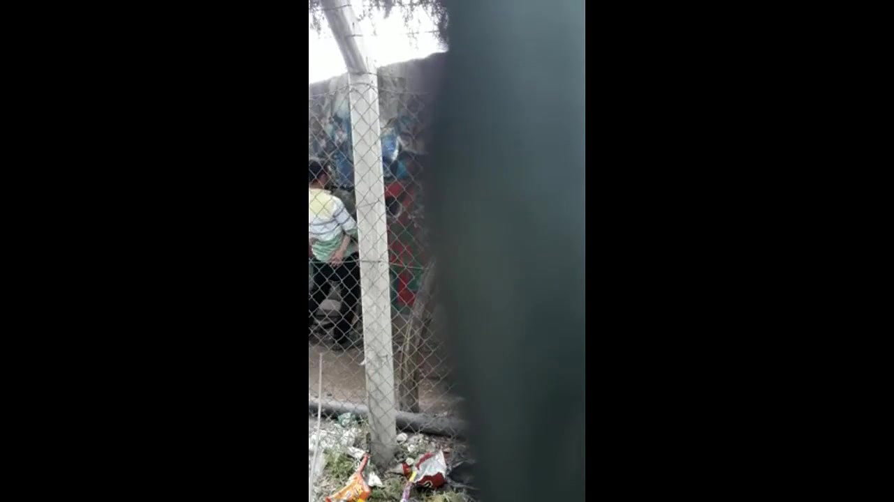 desi hijabi quick outdoor sex