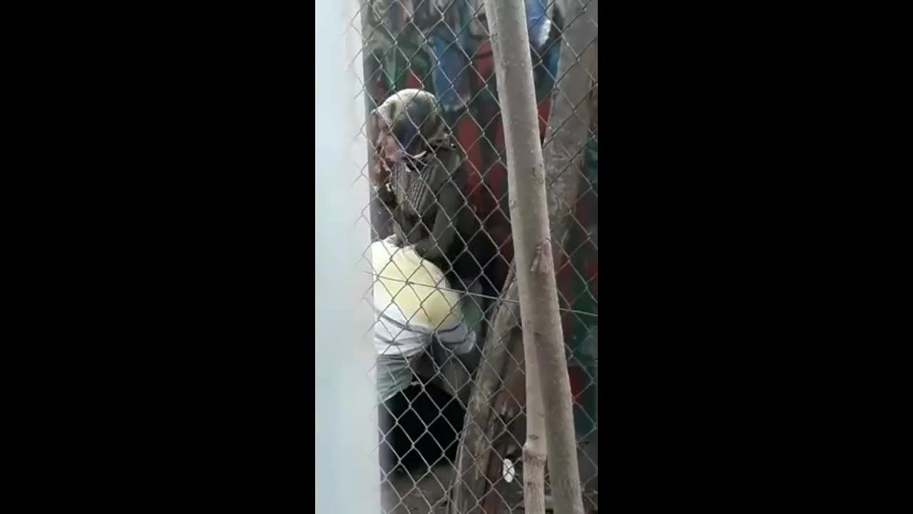 desi hijabi quick outdoor sex