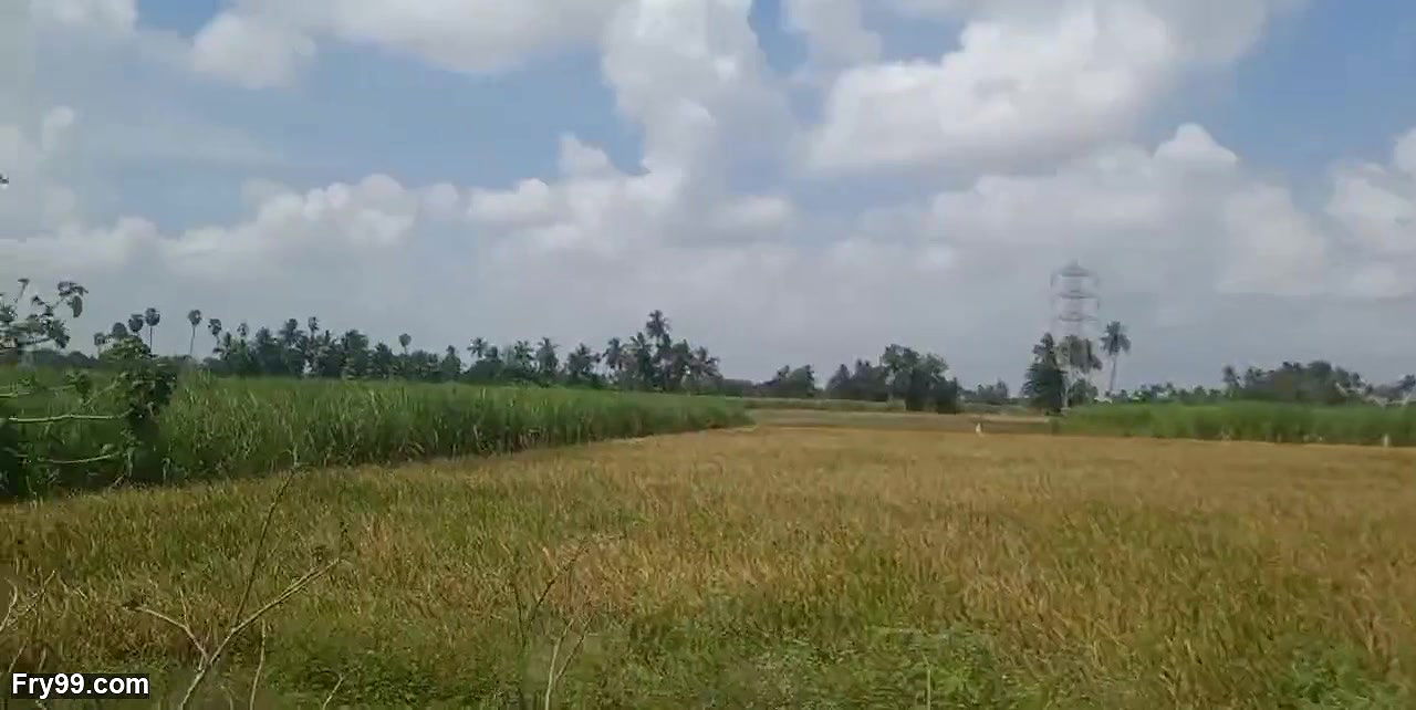 Tamil housewife big boobs show in village house