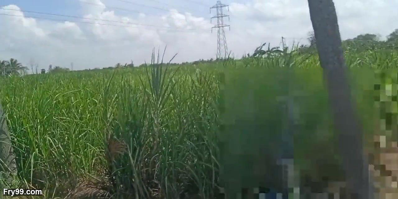 Tamil housewife big boobs show in village house