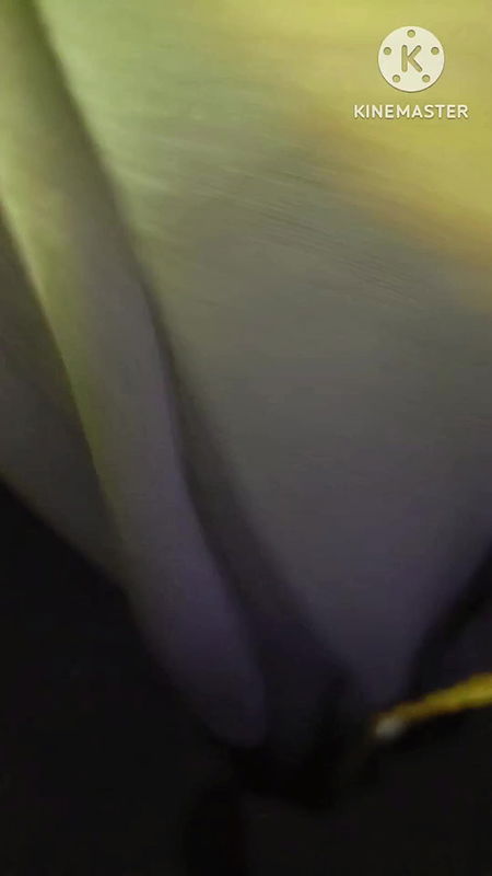 Tried to put it in the ass but the anger was not enough Desi woman’s sex full video