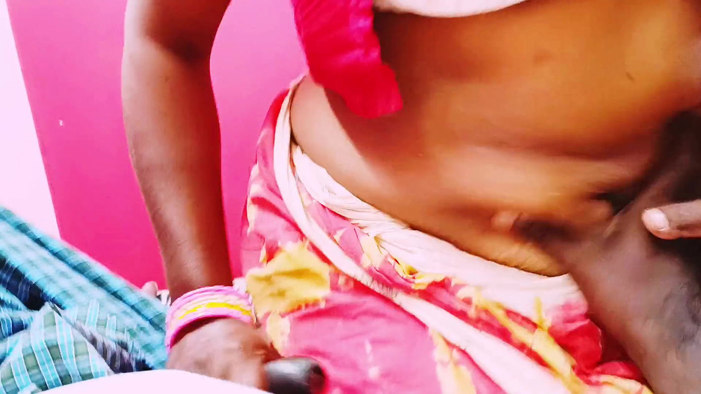 Telugu beautiful saree big boobs sexy MAID fucking house owner, telugu FIRTY talks
