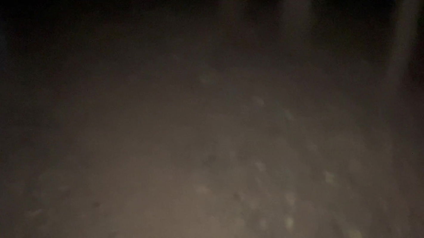 STEPSISTER NEED SEX IN JUNGLE (HINDI AUDIO)