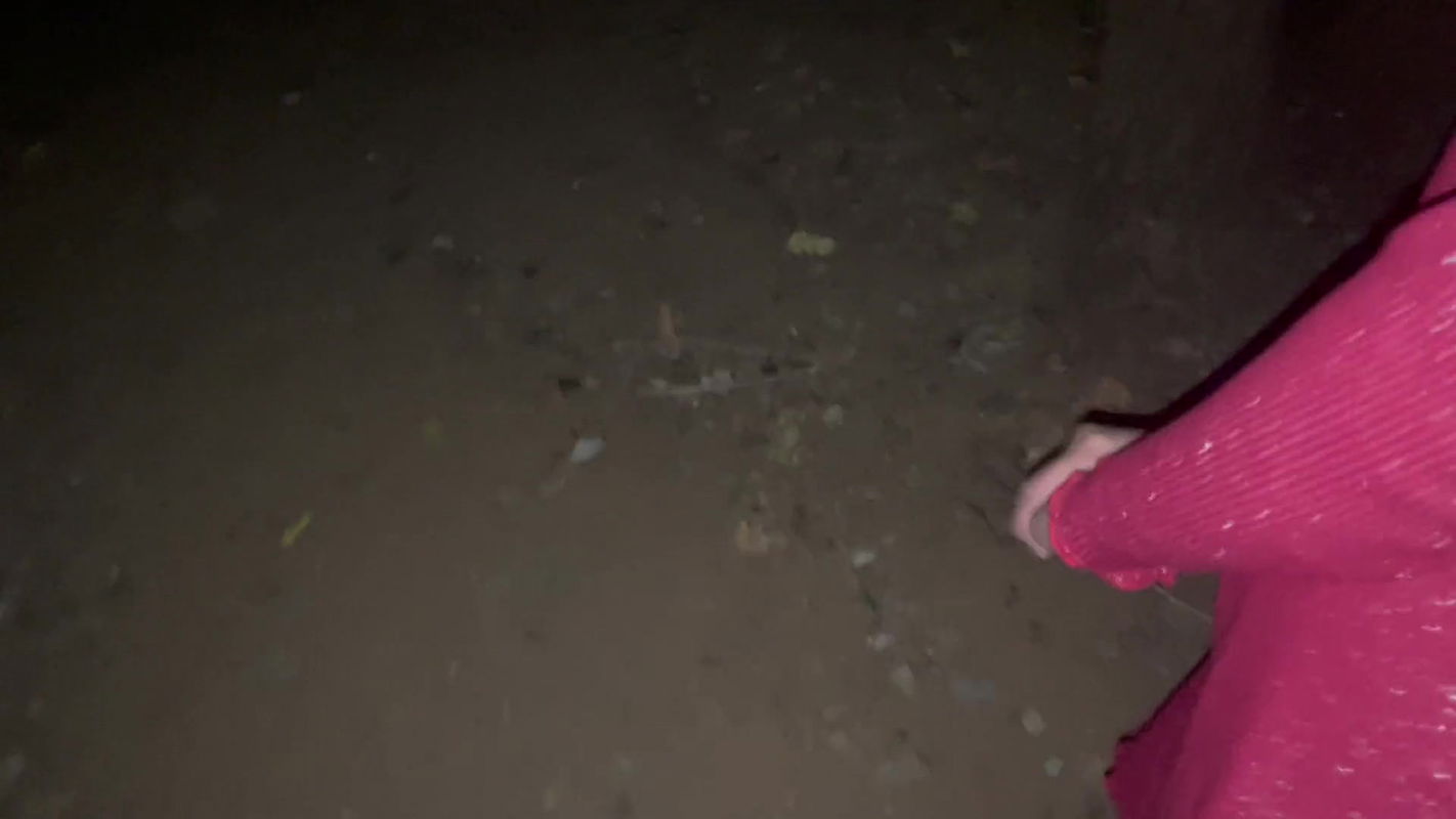 STEPSISTER NEED SEX IN JUNGLE (HINDI AUDIO)