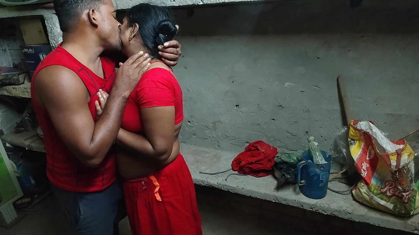 Seeing the maid alone, the master stripped her and fucked her Indian Desi style sax