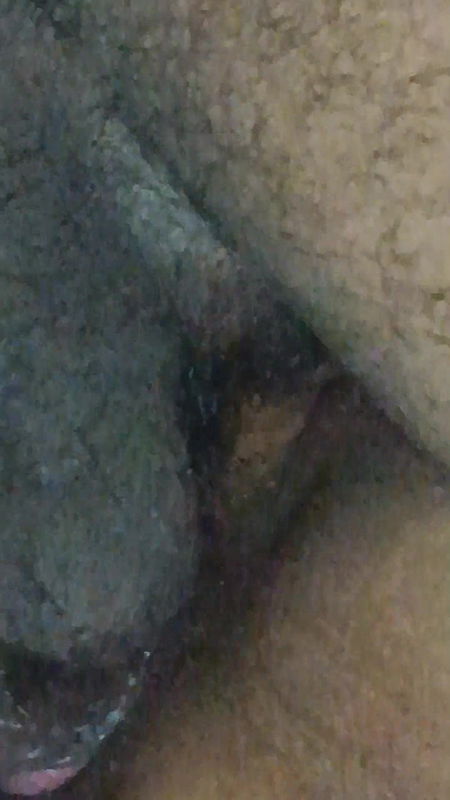 Pussy grilling desi pussy black pussy fucking hard