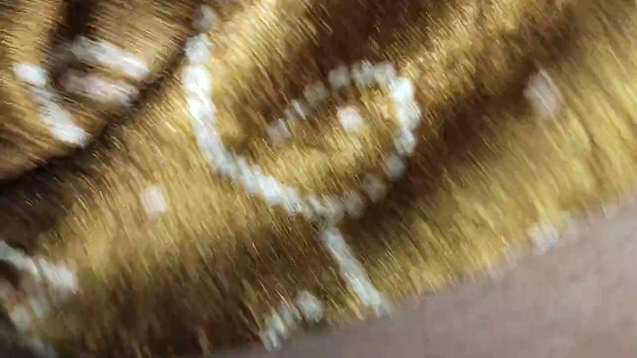 Priya bhabhi fucked by nighbour very hard