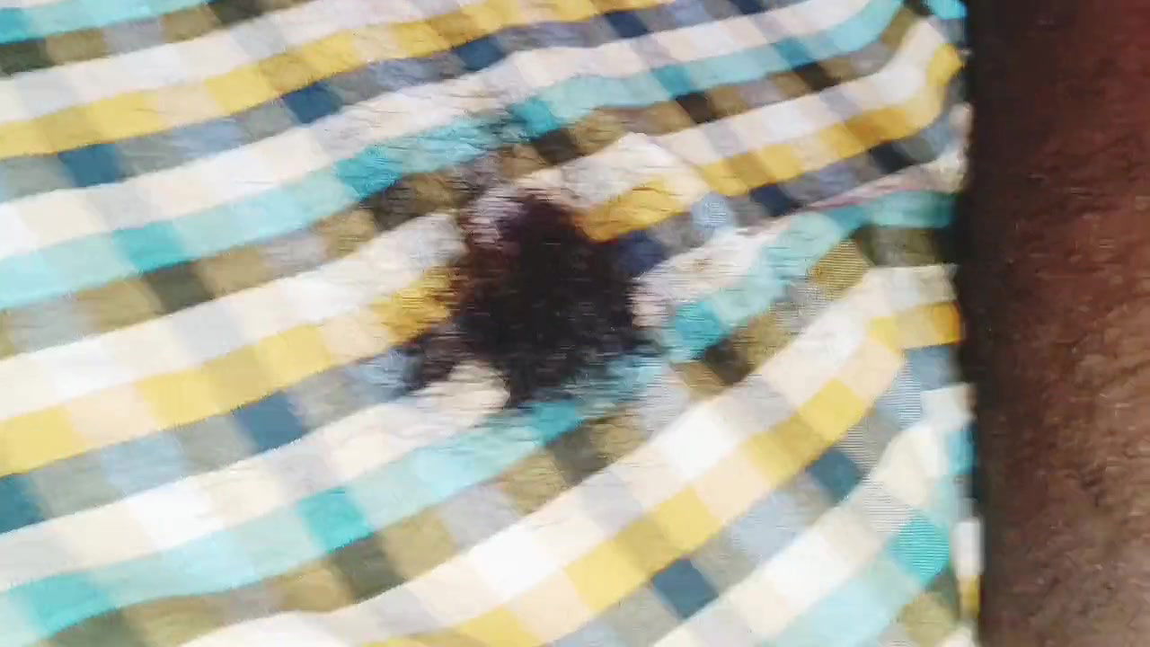 Indian step mom son in law (blowjob sheving fucking) telugu dirty talks