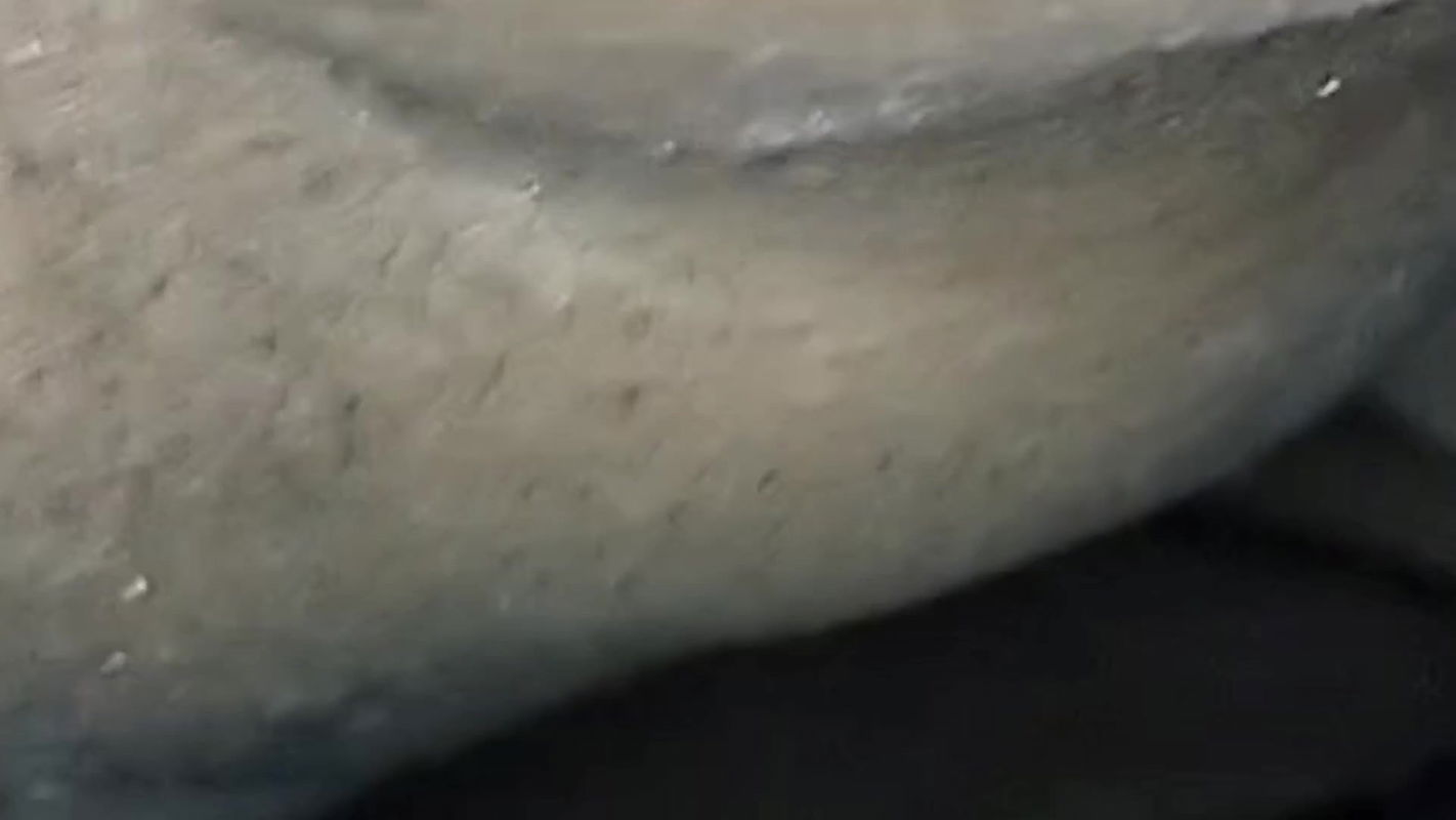 India Boudi k gumer modhhe chude dilo