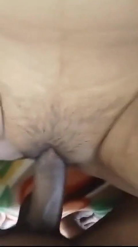 How to fuck, how to fuck, I like your land