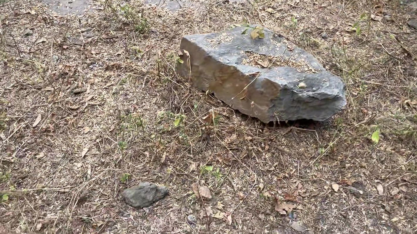 HOT INDIAN COLLEGE STUDENT FUCKING SECRETLY WITH BLACK INDIAN COCK