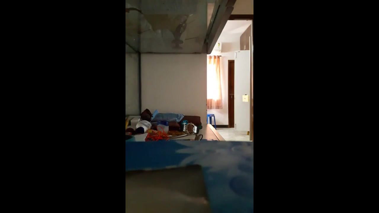 tamil bhabhi changing caught mms