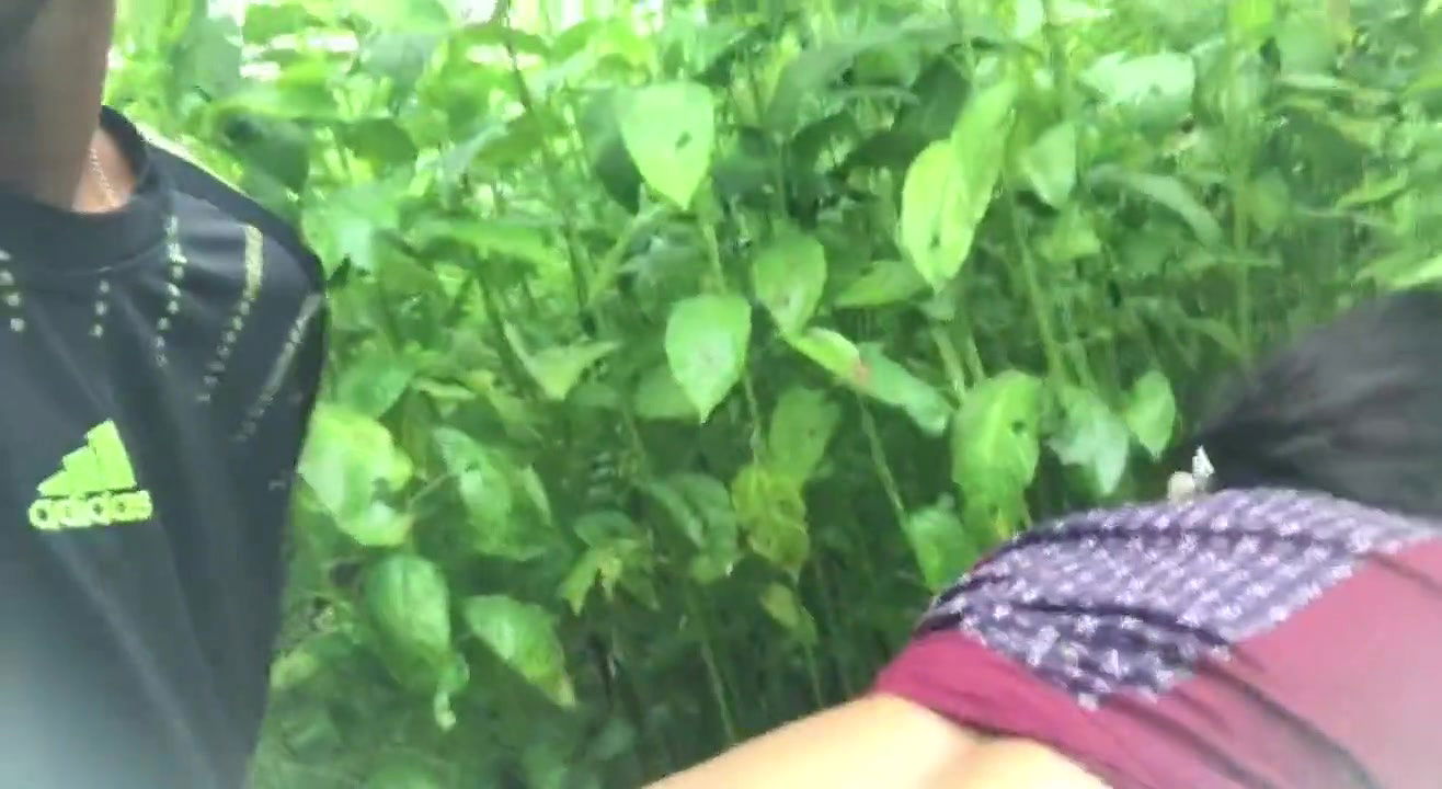 Devar and Bhabhi secretly go to the jungle and have sex, the fun is different