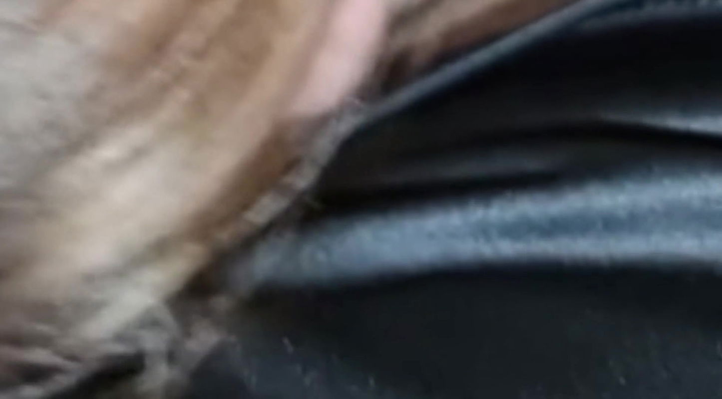 bhabi morning hot sex on bed