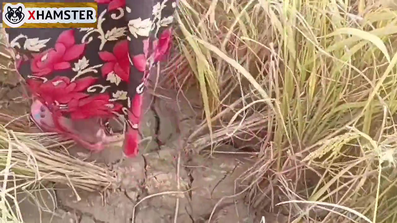 Bengali audio Chudai in paddy field nomita bhabhi