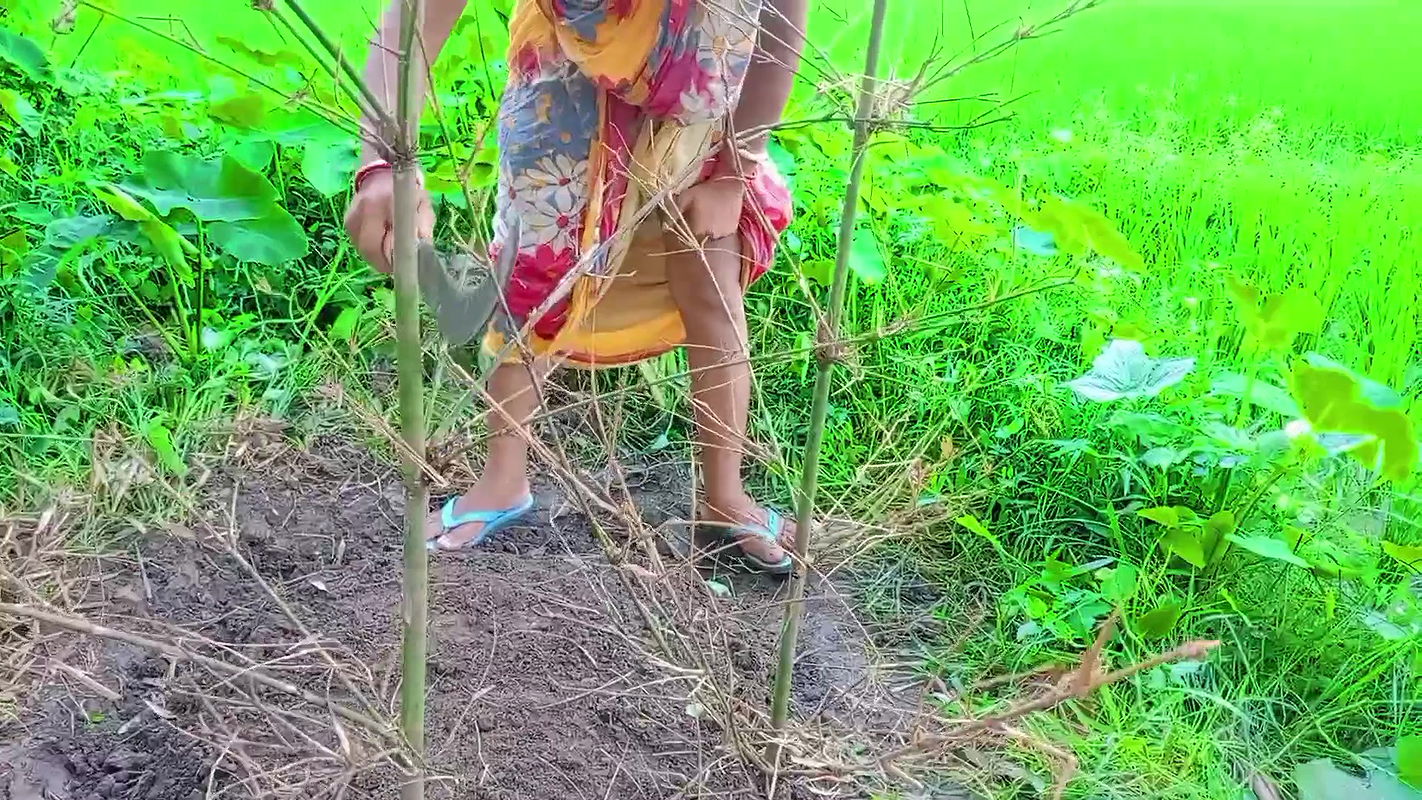 Lokal bhabhi and me outdoor sex