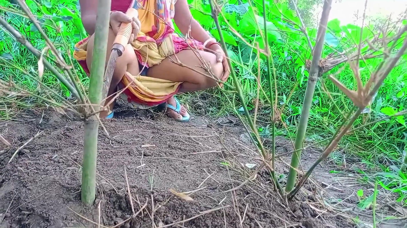 Lokal bhabhi and me outdoor sex