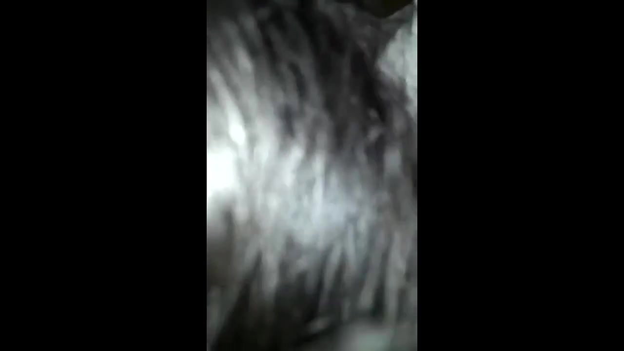 beautiful girl lavanya hot blowjob and fucking