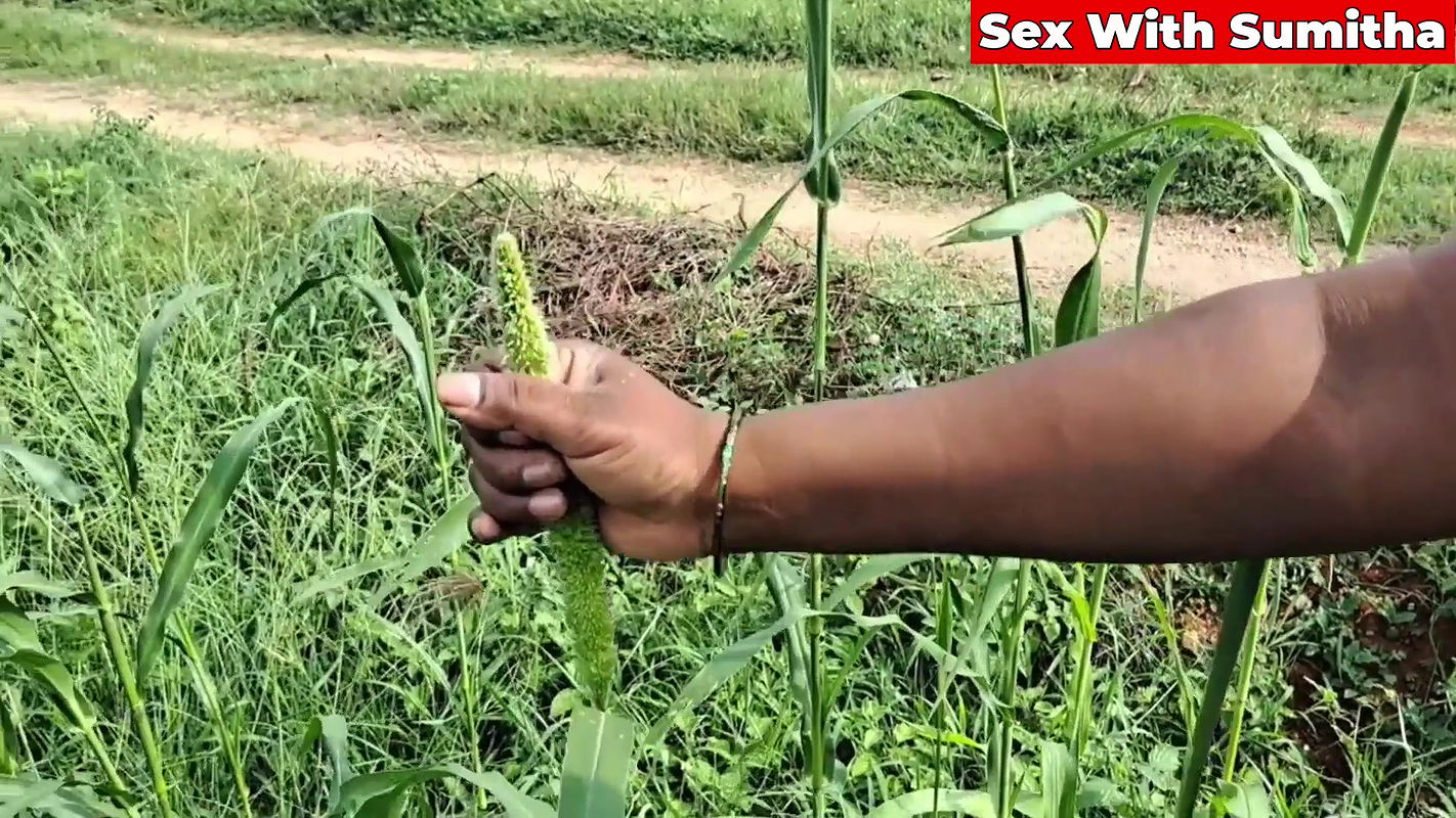Sex with Sumitha Hottest Fuck with Outdoor Farmer Area with Her Neighbour Boy Friend