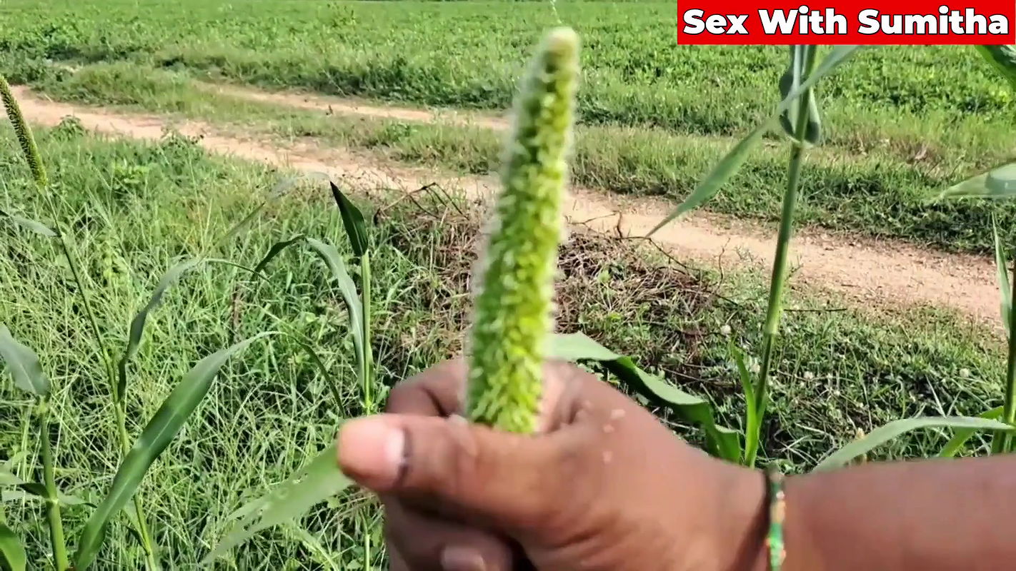 Sex with Sumitha Hottest Fuck with Outdoor Farmer Area with Her Neighbour Boy Friend
