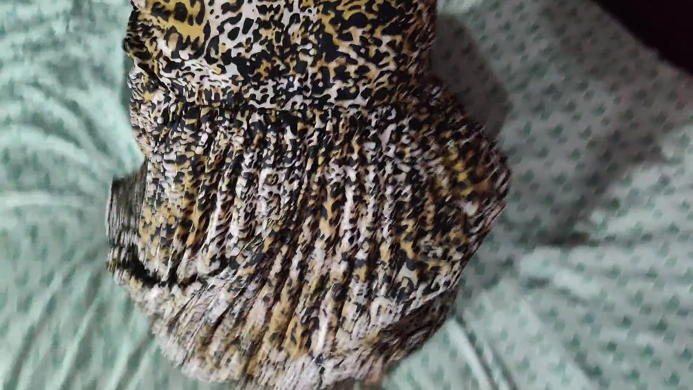 I agree to share a room with him and something unexpected happen