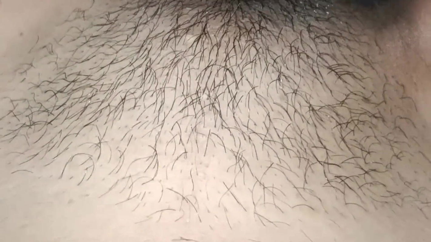 Husband made wife a mare