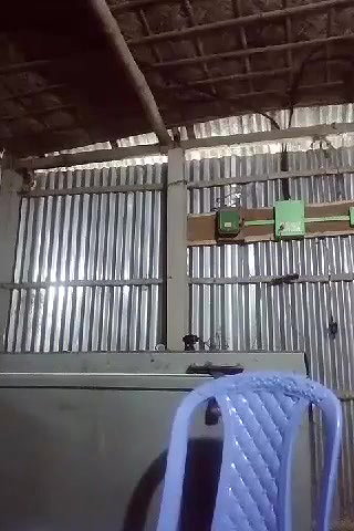 Village Girl Showing For Lover