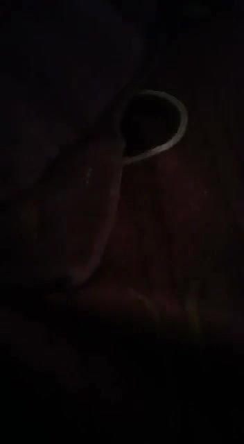 Fucking and moaning