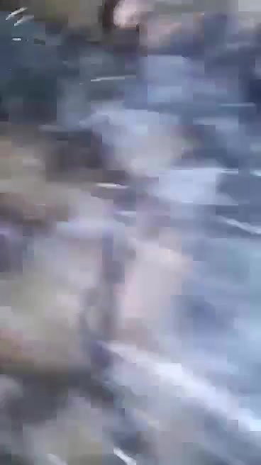 Cute Girl Blowjob And Riding