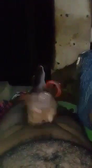 Desi Bhabhi Blowjob