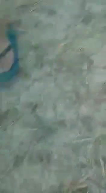 Cute Paki Girl Outdoor Fucking