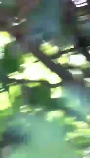 Horny Couple Fucking in Park