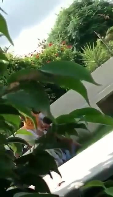 Horny Couple Fucking in Park