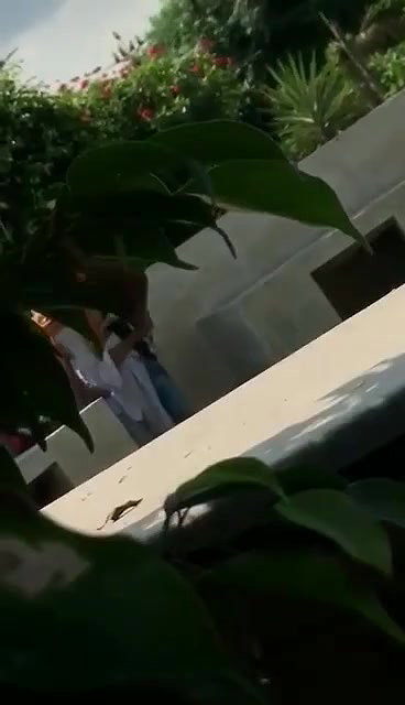 Horny Couple Fucking in Park