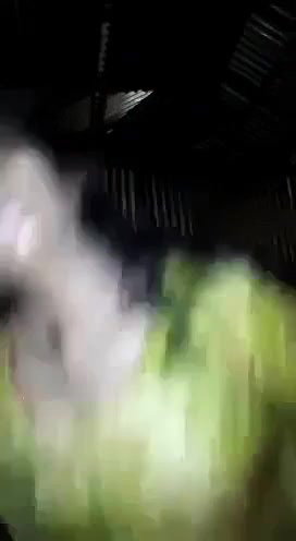 Horny Village Girl With Dirty Banglatalk