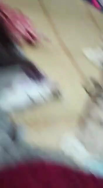 Very Beautiful Girl Fucking & Talking