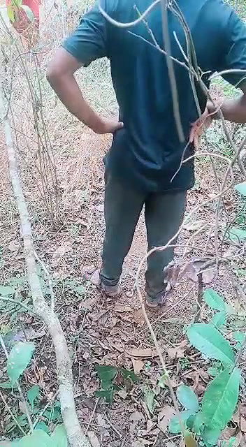 Village mature bhabhi outdoor fucking