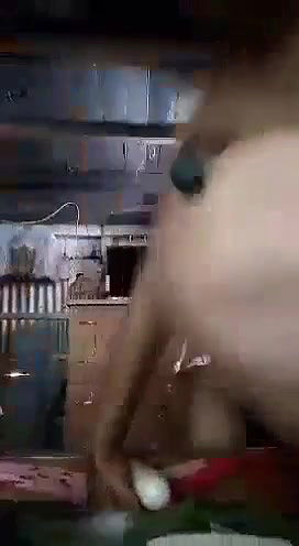 Desi Unsatisfied Chubby Girl