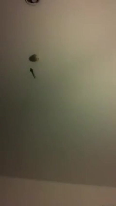 Cute girl hotel fucking mms