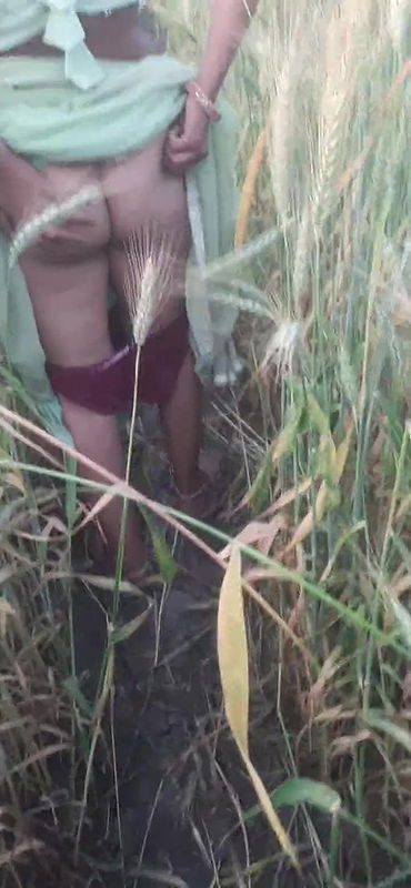 Desi beautiful sister-in-law is rubbing her ass in the wheat field Tormenting her brother-in-law for sex Rubbing her fat ass in the open field for sex