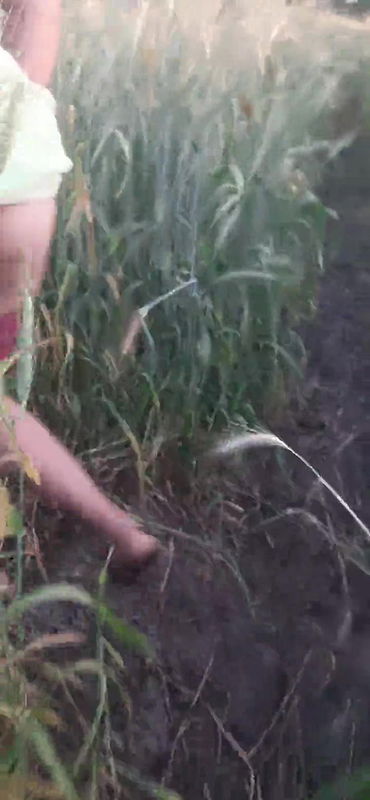 Desi beautiful sister-in-law is rubbing her ass in the wheat field Tormenting her brother-in-law for sex Rubbing her fat ass in the open field for sex